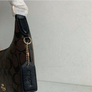 (NEW 2023) COACH PAYTON HOBO IN SIGNATURE CANVAS CE619 CE620