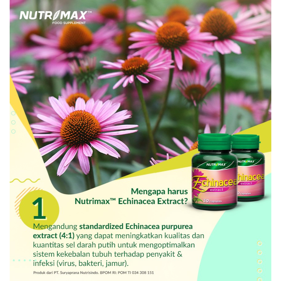 NUTRIMAX ECHINACEA EXTRACT 30 NATURECAPS | Meningkatkan Daya Tahan Tubuh Terhadap Penyakit &amp; Infeksi (virus, bakteri &amp; jamur)