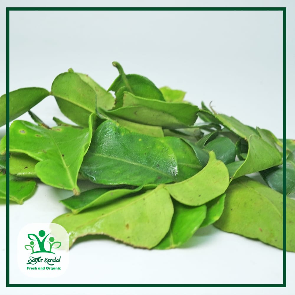 

Daun Jeruk - Sayur Kendal