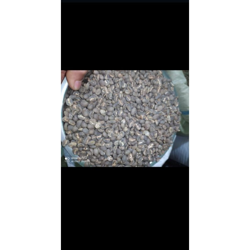 

kopi gayo arabica biji semi wash COD