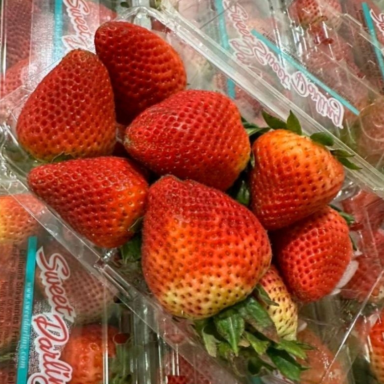 

BUAH STRAWBERRY JUMBO FRESH IMPORT / 1 PACK 250gr