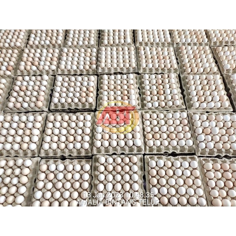 

New // Abt - 30 Butir Telur Ayam Kampung Omega Isi Orange 1 Tray Lezat Dan Bergizi