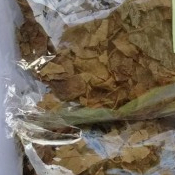 

TERBAIK DAUN JATI BELANDA HERBAL KERING -250 GRAM