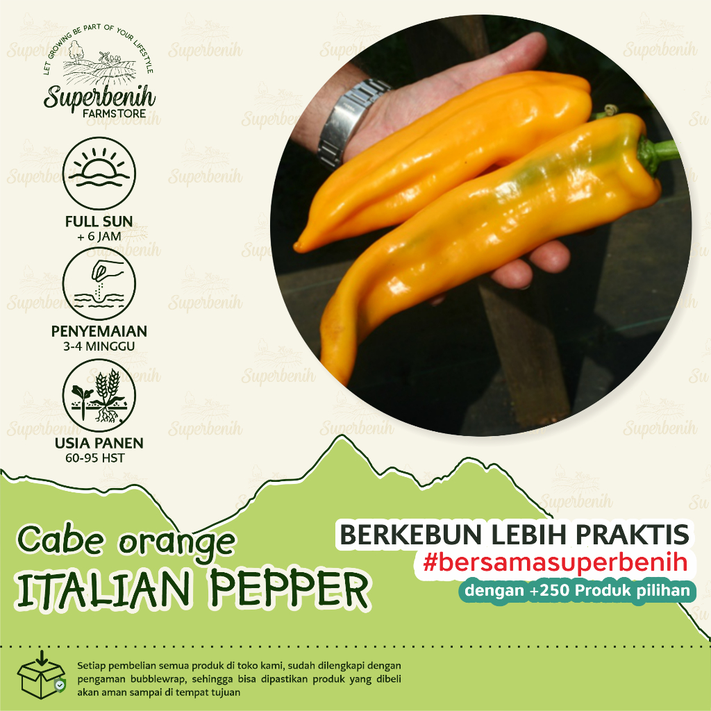 3 Biji - Benih Cabe ORANGE ITALIAN PEPPER