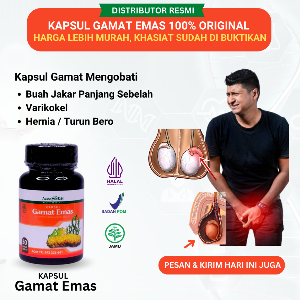 Obat Buah Zakar Bengkak, Obat Sakit Buah Zakar, Obat Nyeri Sebelah Buah Zakar, Obat Hernia, Obat Bua