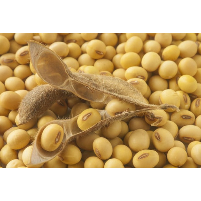 

Kacang kedelai repack 500 gr