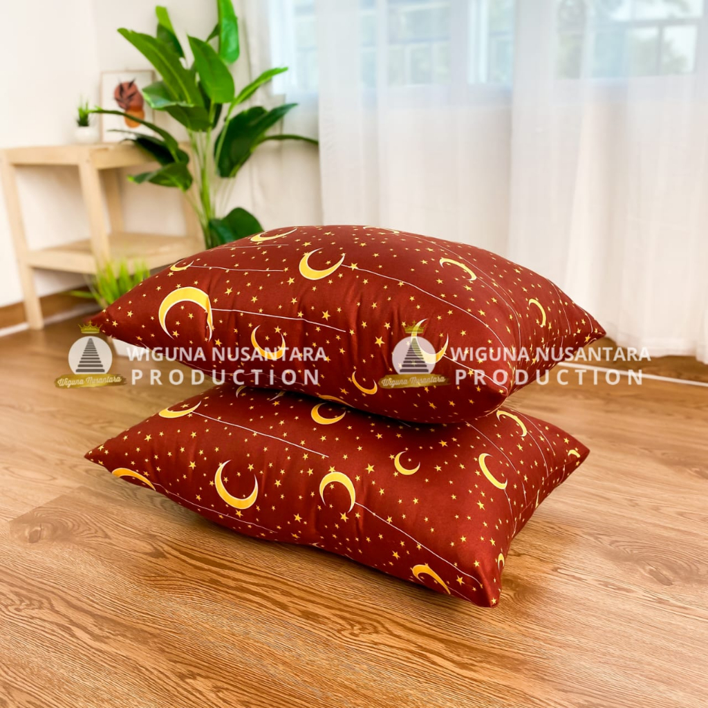 Paket 2 Bantal Tidur