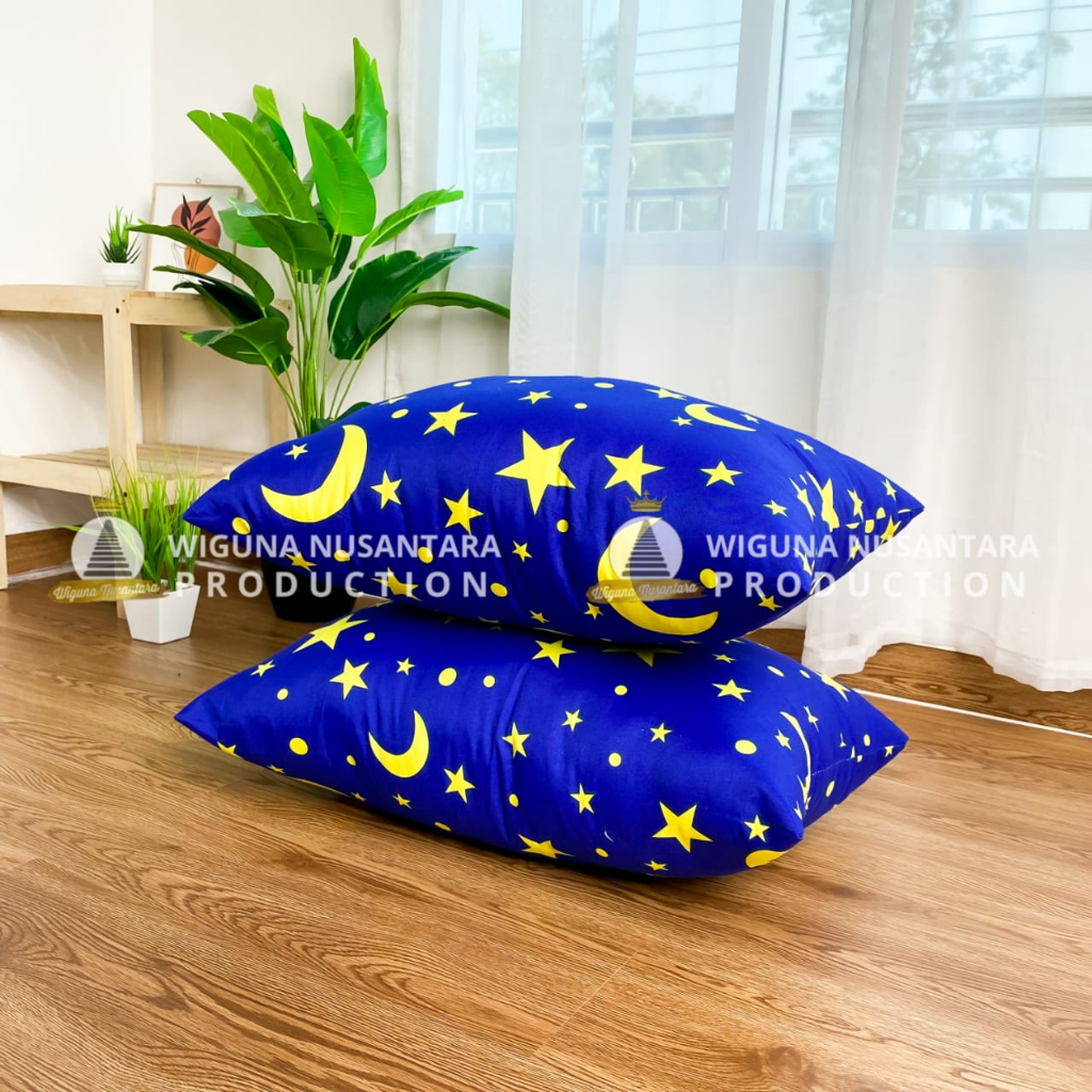 Paket 2 Bantal Tidur