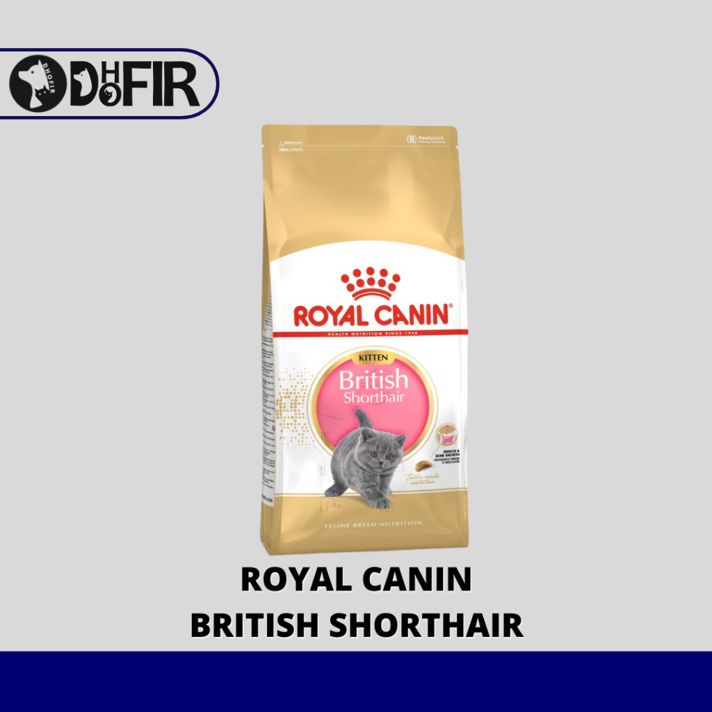 ROYAL CANIN BRITISH SHORTHAIR KITTEN