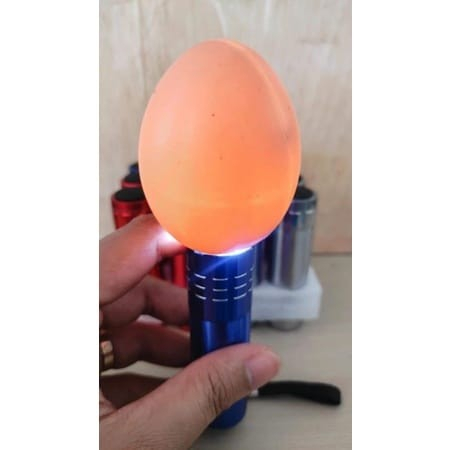 Senter teropong inkubator incubator mesin tetas pengecek telur burung ayam unggas led murah