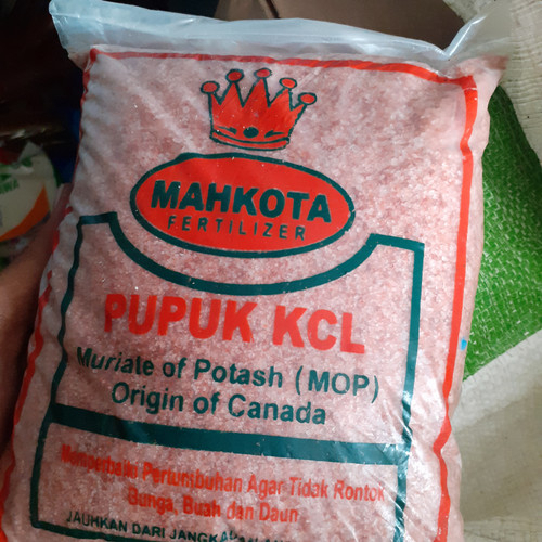 Pupuk KCL Mahkota 100 gr repack pemanis buah pencegah rontok bunga buah