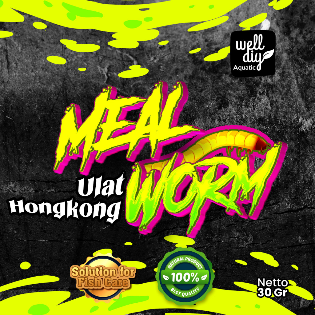 Ulat Hongkong Kering MEAL WORM Pakan Ikan Channa Predator Louhan Arwana dan Reptil