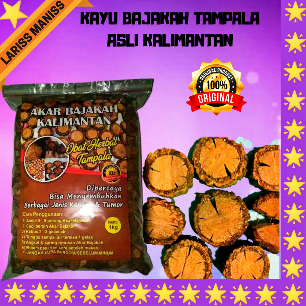 

COD 1KG kayu bajakah asli kalimantan yang di ambil dari pedalaman hutan kalimantan dengan kualitas terbaik Akar bajakah asli kalimantan Akar bajakah ramuan tradisional suku dayak kalimantan yang dapat mengobati penyakit kanker serta tumor