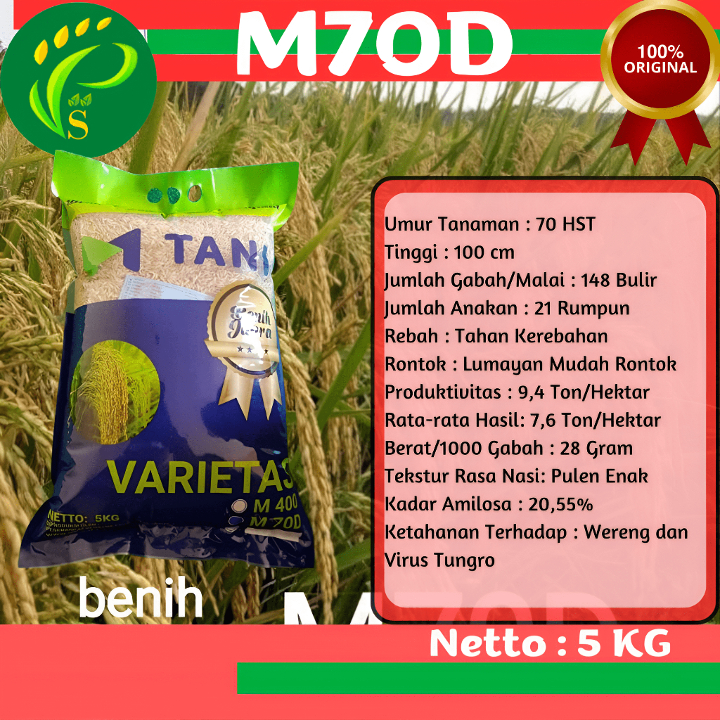 Biji Padi M70D Bibit Genjah 70HST