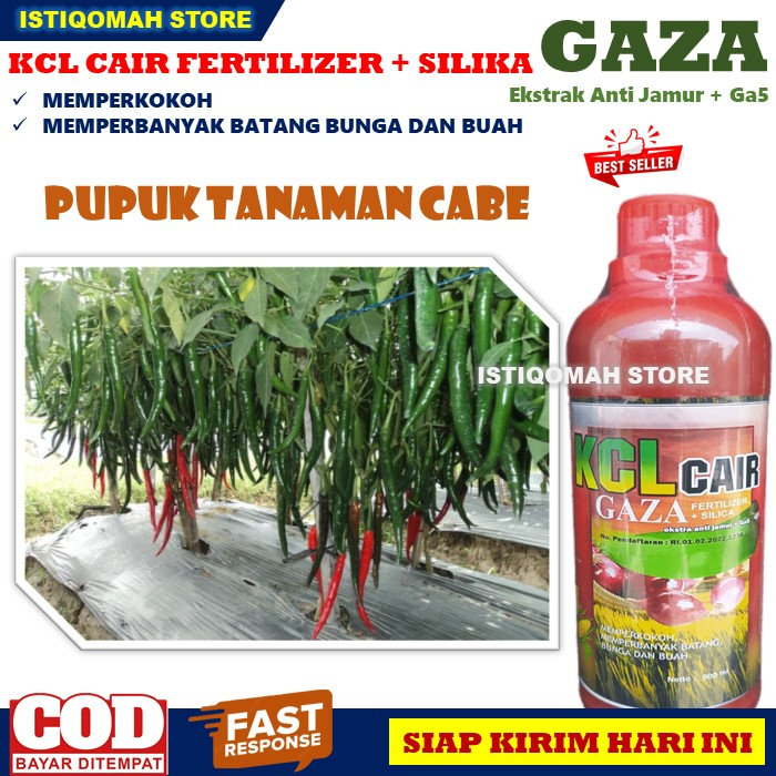 Pupuk Pelebat Bunga dan Buah Kedelai KCL GAZA 500ML Pupuk KCL Cair Fertilizer + Silica Memperkokoh Memperbanyak Batang, Bunga dan Buah Tanaman Kacang Kedelai yang Bagus dan Ampuh, Pupuk Cair Pelebat Bunga dan Buah Kedelai Super Lebat TERLARIS