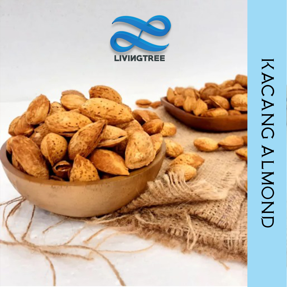 

Kacang Almond Roasted Ori Panggang JSR 100gr