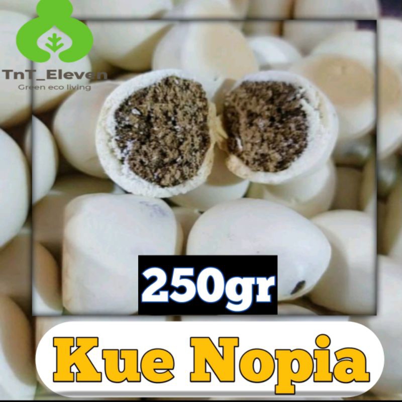 

250gr Kue Telur Buaya / Kue Nopia Gula Jawa