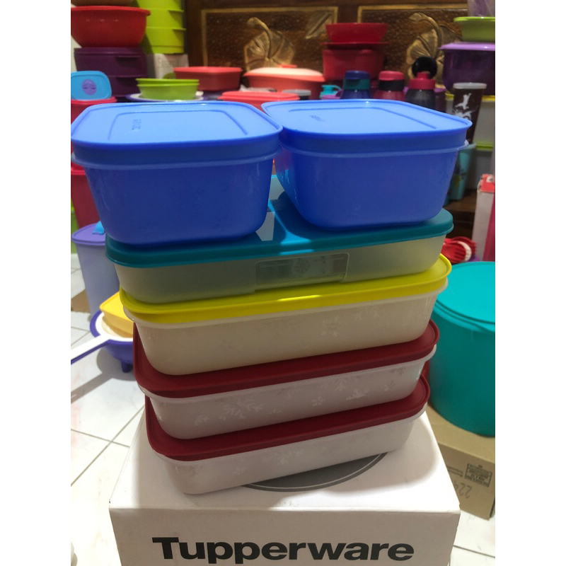 frozy cozy/mini frezer/freezer mate container/wadah ikan/wadah daging/frezer