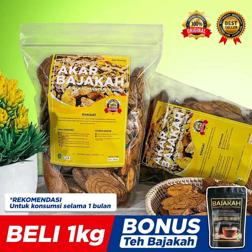 Kayu Bajakah Asli Kalimantan Kualitas Terbaik 100% Asli Bajakah Kuning