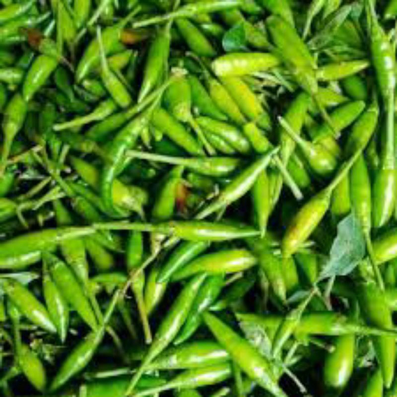 

CABAI RAWIT PETIK 100 GRAM DAN 250 GRAM