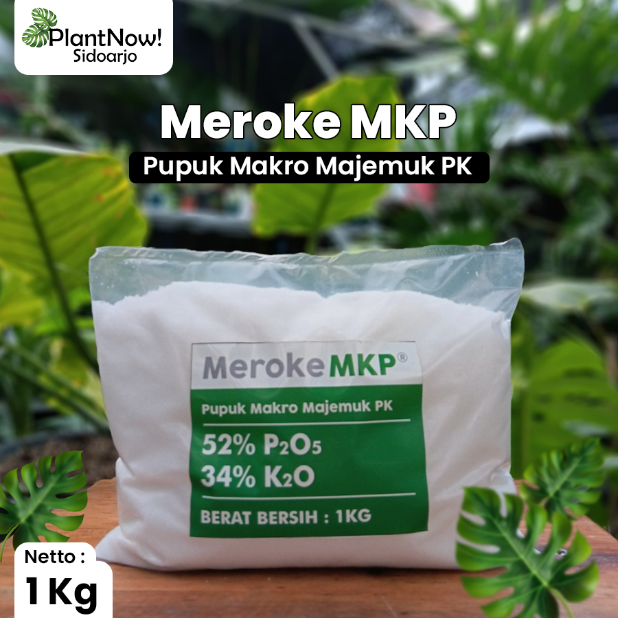 Pupuk / Nutrisi Tanaman - MKP Meroke - 1kg Repacking