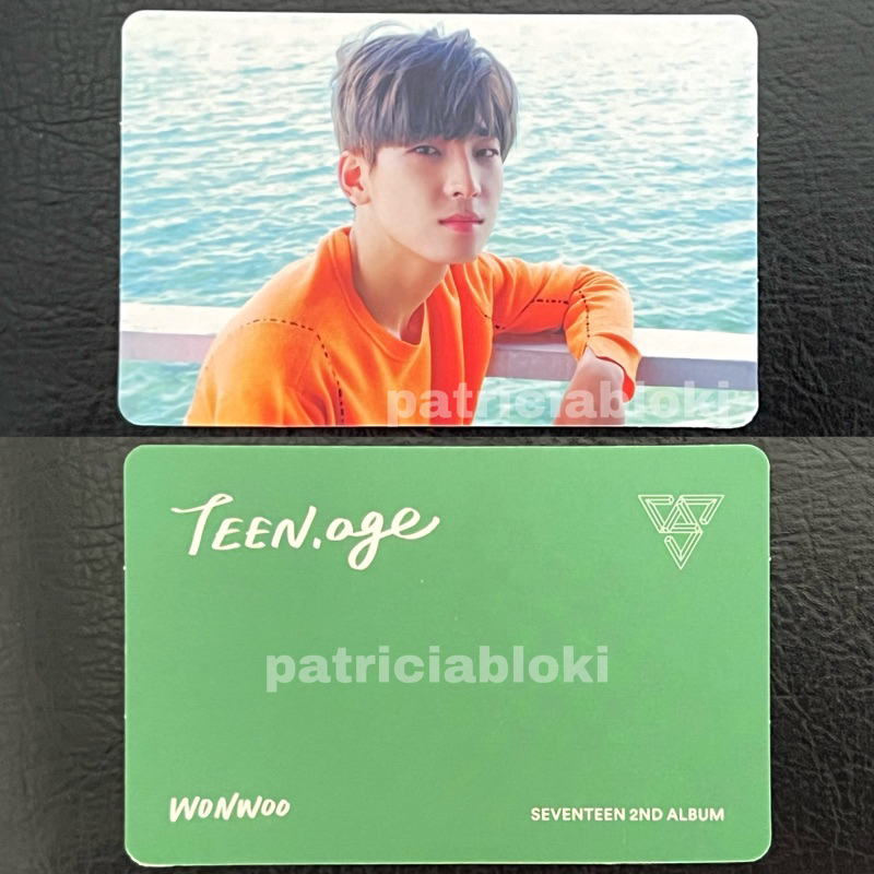 BUNDLE Photocard Wonwoo Seventeen Pc Album Teen Age Green Ver TA Green Batangas 24h dk woozi mingyu 