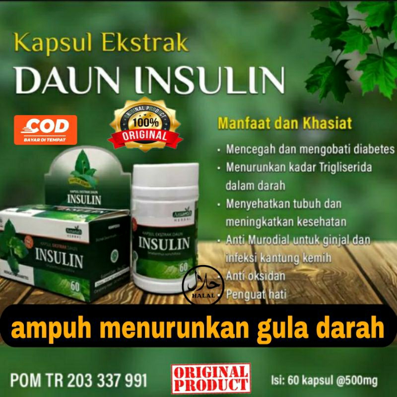 

kapsul daun insulin Ampuh mengatasi diabetes asli BPOM Kapsul daun insulin Amanah