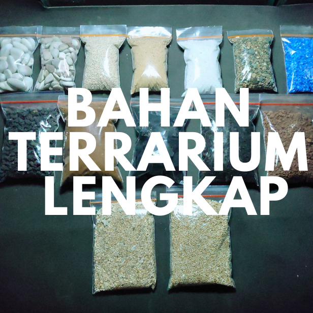 BAHAN TERRARIUM LENGKAP | PASIR BATU KAYU AKAR MEDIA TANAM TERARIUM KIT