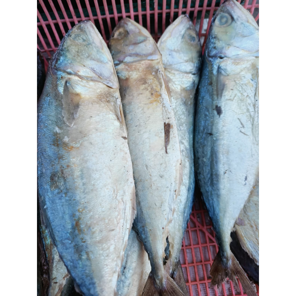 

Ikan Asin Peda / BESAR