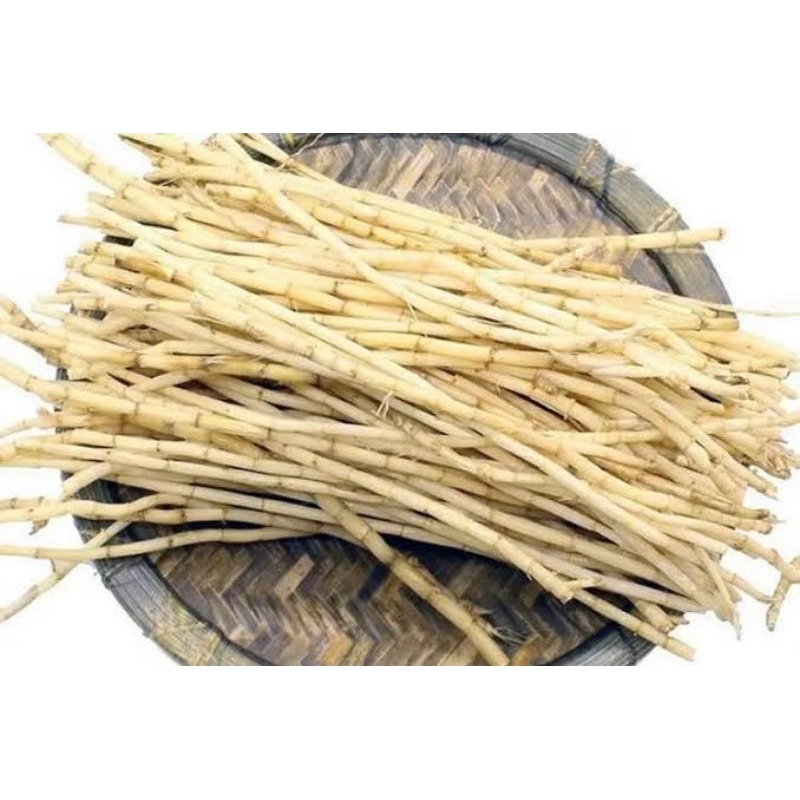 

Alang Alang Segar / Akar Alang Alang 1kg