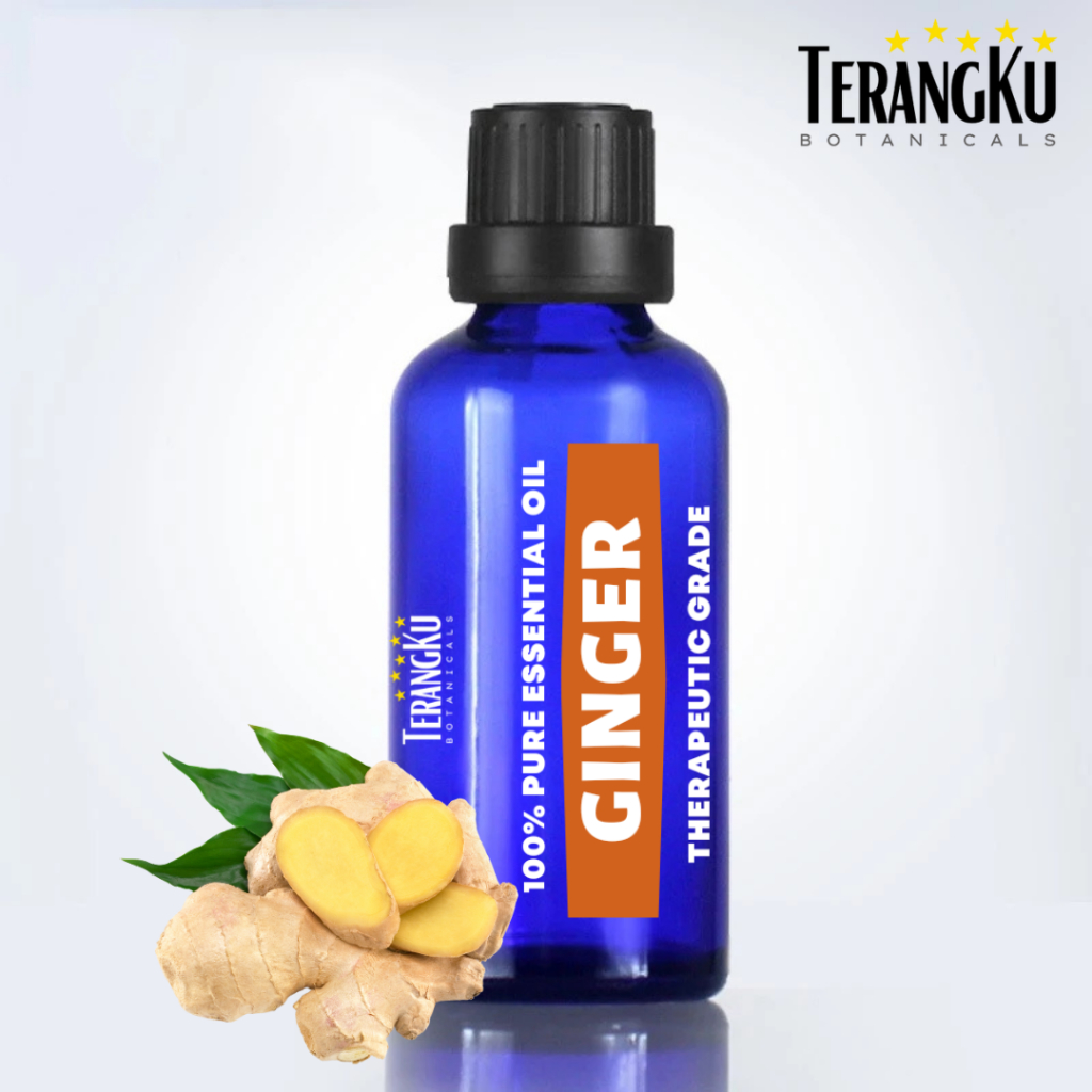 Terangku Botanicals Ginger Jahe Pure Essential Oil 10ml / Minyak Atsiri Aromaterapi Aromatherapy