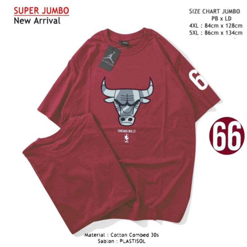 KAOS JUMBO SIZE 4XL/5XL AIR JORDAN CHICAGO BULLS