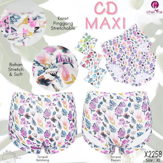 CD/ Celana Dalam Wanita Chelyne (ISI 3PCS)