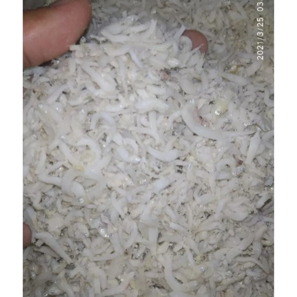 

ikan asin teri nasi medan size sedang 250gr