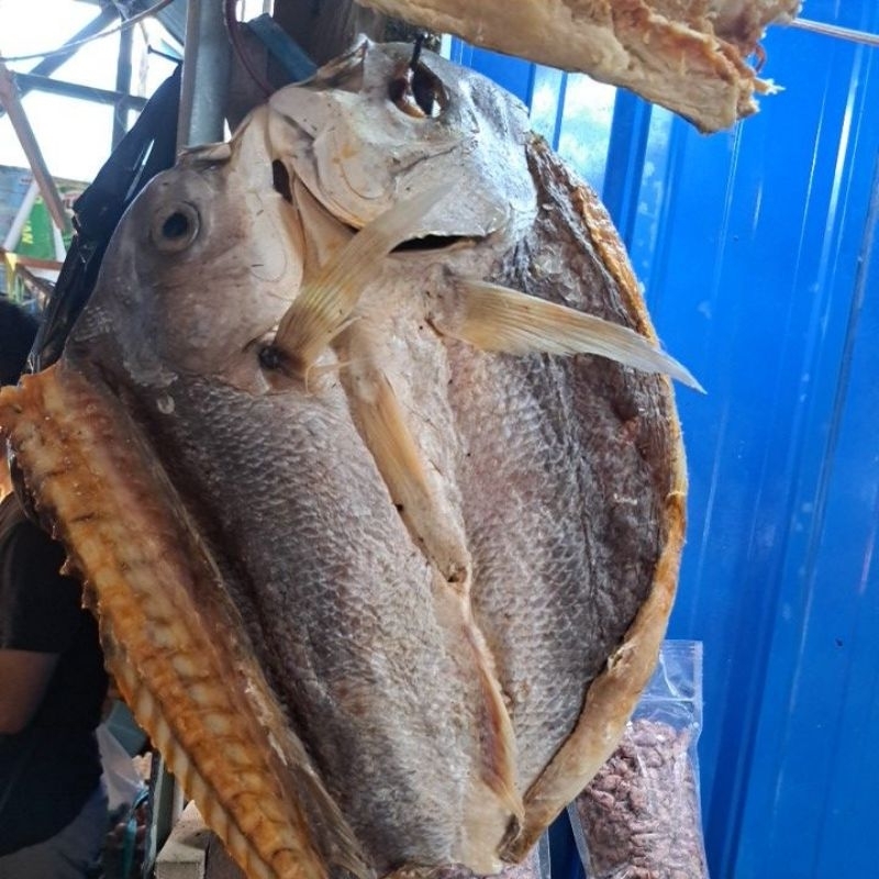 

Ikan Asin Bambangan/Kakap
