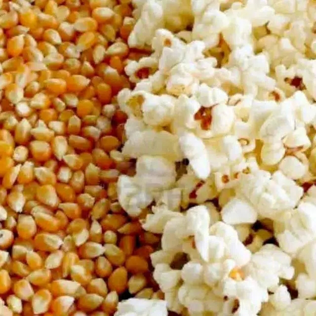 Biji Jagung Popcorn Mentah (500 gram) /Brondong Jagung / Jagung Popcorn ex Argentina / Popcorn Jenis Butterfly