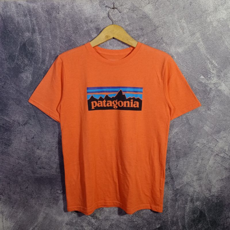 Baju kaos tshirt Patagonia bekas second branded casual preloved