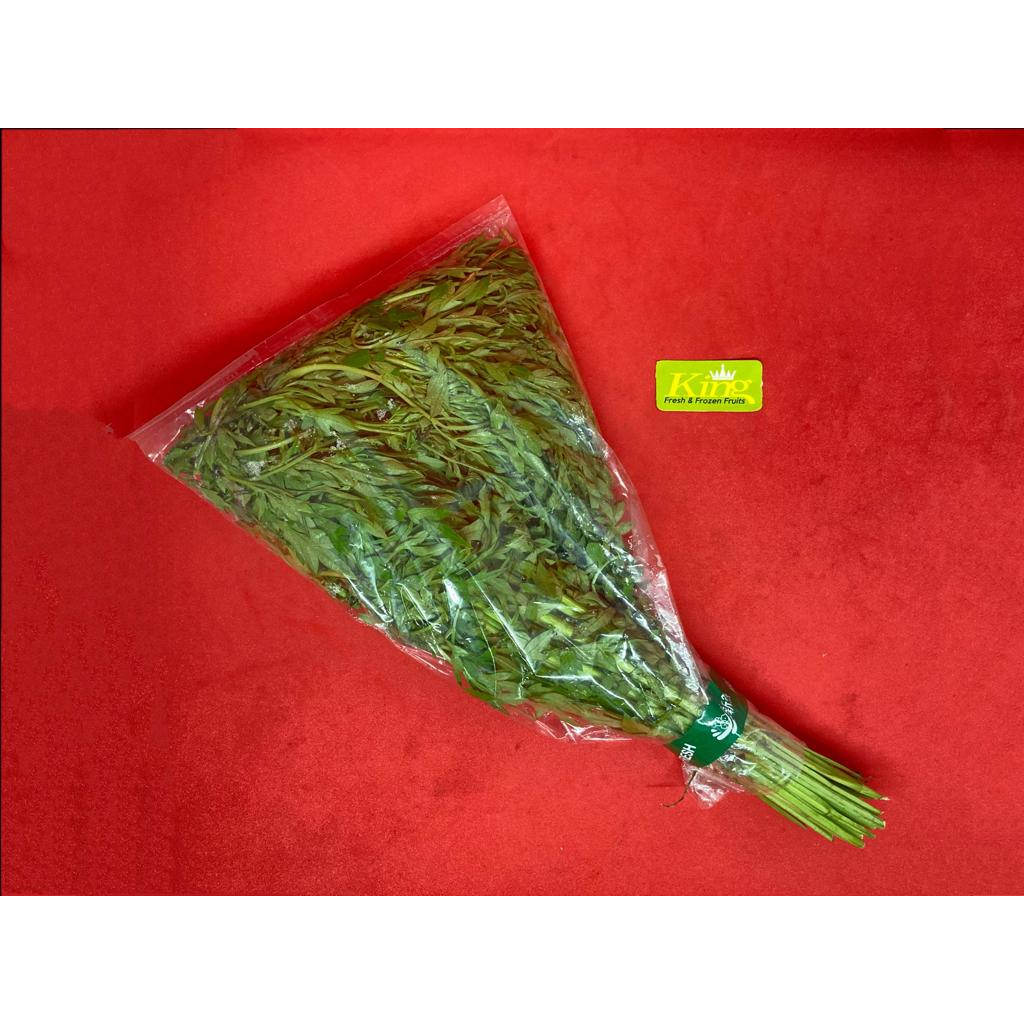 

Sayur kenikir, daun kenikir, sayur kenikir segar