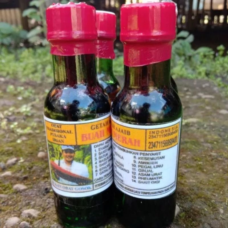 Minyak getah kayu Buah merah asli Papua Obat rematik Asam urat