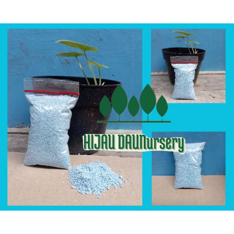 NPK 16-16-16 Daun Cendana sortiran (serbuk/butiran kecil) 500 gram