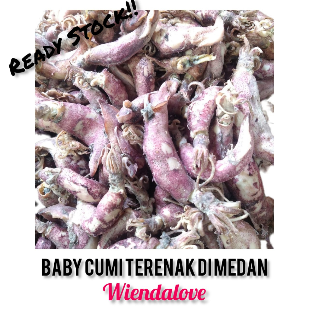 

cumi asin medan 100 gr
