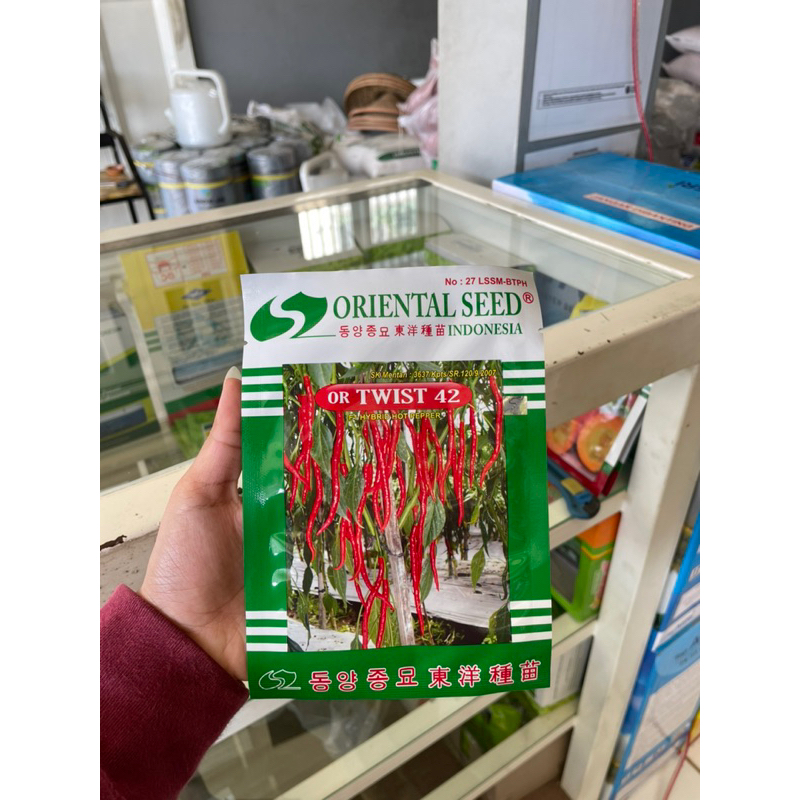 CabeKriting Hybrid Or Twist42