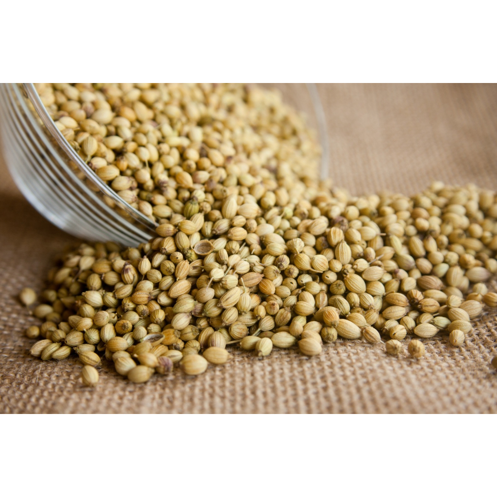 

Ketumbar Bulat 100g| Kedai Bumbu Pak In Padang