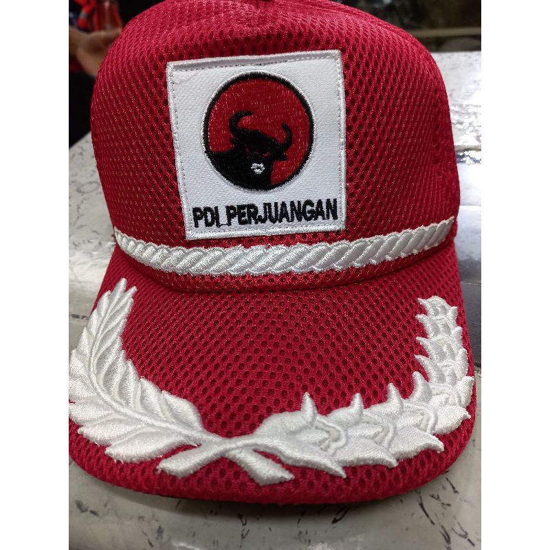 topi  PDIP