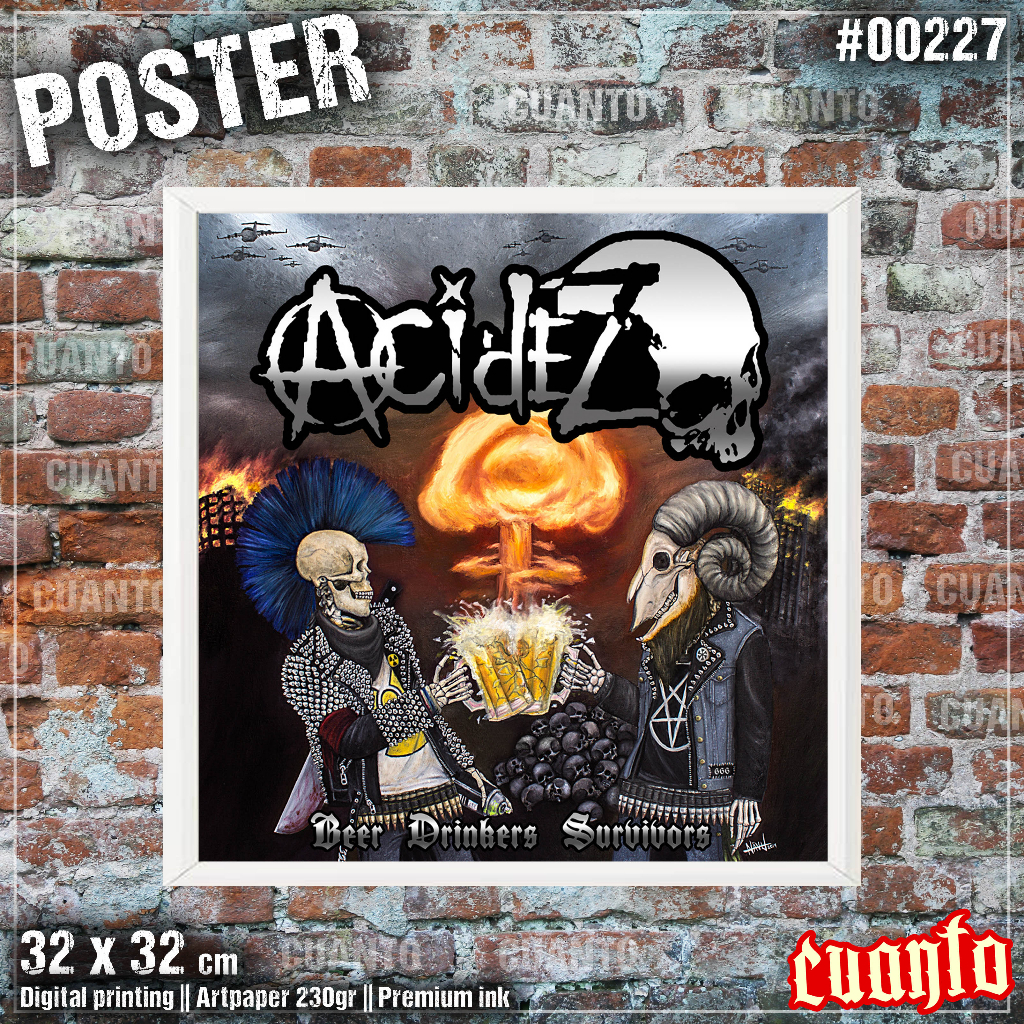 Poster Band Punk Acidez