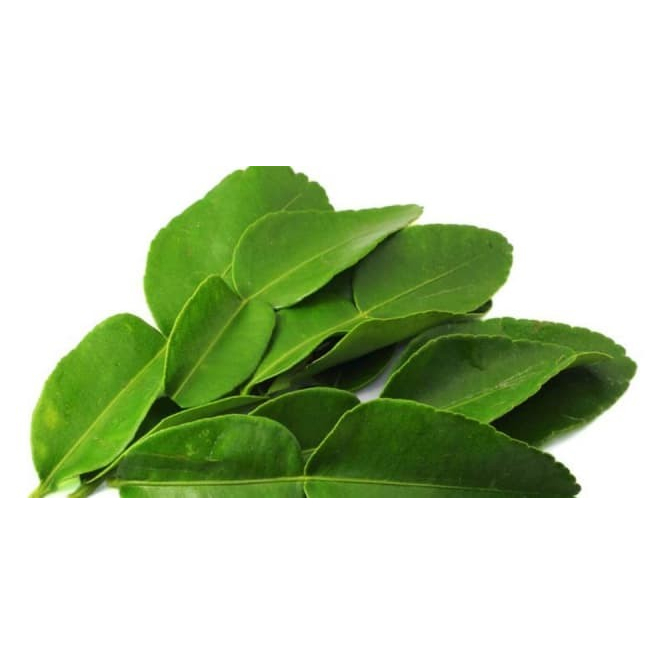 

Daun Jeruk Purut Segarrrr