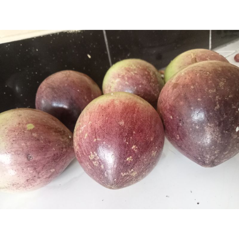 

Murah Buah Kenitu Aprikus Fress