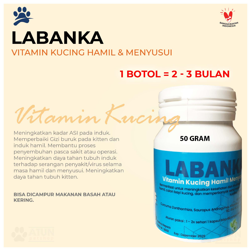 Vitamin untuk Kucing Hamil dan Menyusui Pelancar ASI