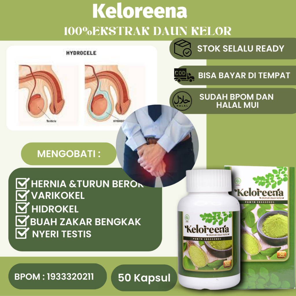 Obat Buah Zakar Bengkak Sebelah Kanan Kiri, Varikokel, Hidrokel, Nyeri Testis, Hernia, Turun Berok, 
