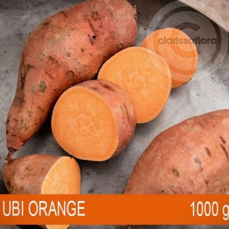 (BISA COD) PROMO  UBI ORANGE ISI 1 KG - UBI JALAR ORANGE